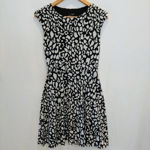 Aqua Black White Leopard Print Spotted Mini Dress